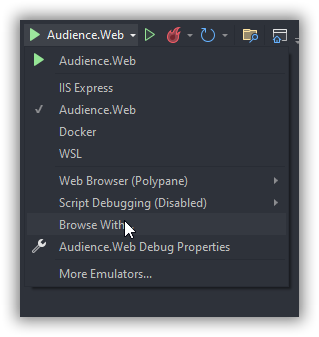 Using Polypane with Visual Studio.