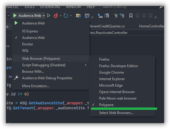 Visual Studio - Set to open Polypane when debugging.