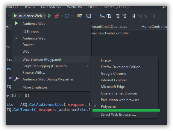 Using Polypane with Visual Studio.