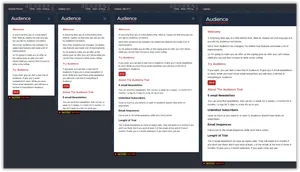 Using Polypane with Visual Studio.